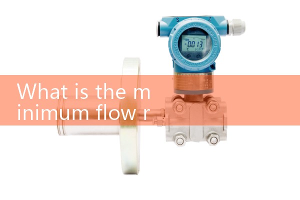 Mass flow meter SCCM